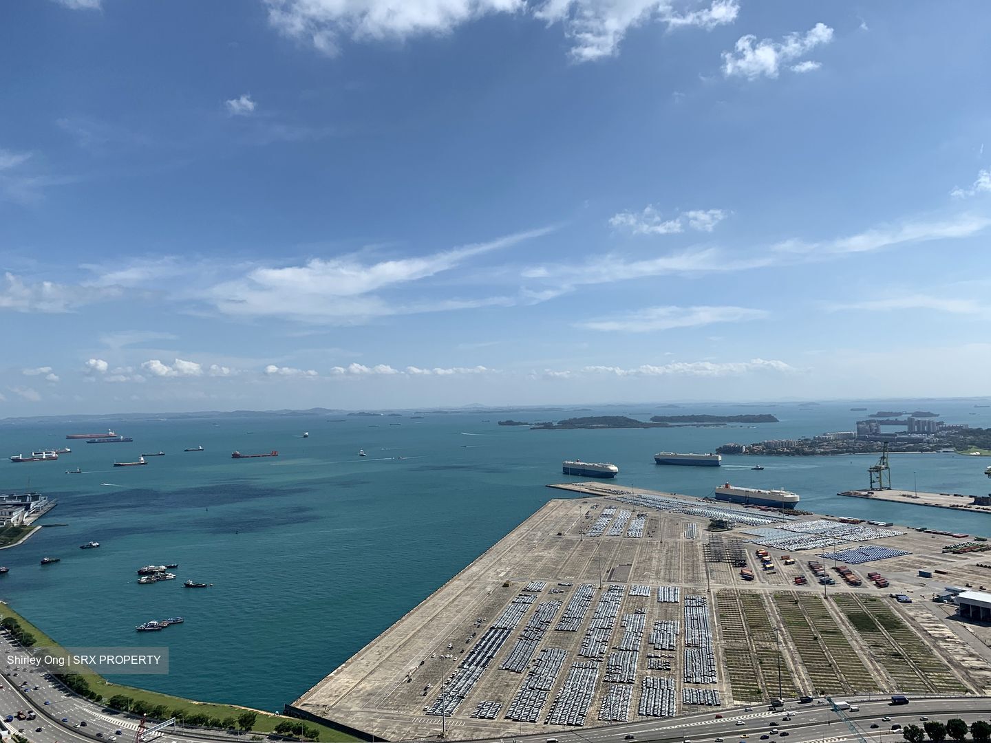 V On Shenton (D1), Apartment #377821521